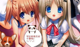 胸大动漫,描绘青春热血的视觉盛宴